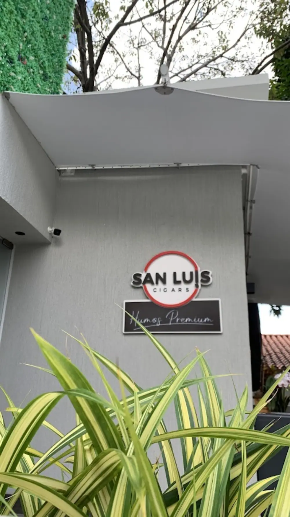 San Luis Cigars - Tabacos, Habanos, Puros, Cigar Lounge en Caracas., Lounge