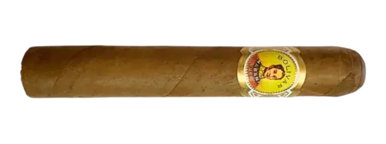 Bolívar Royal Corona