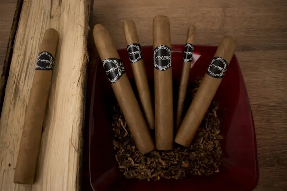 Mambo Cigar and Cultural Club, Lounge