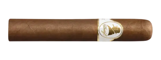 Davidoff Winston Churchill Robusto