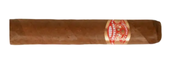 Partagás Shorts