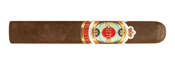 Ashton Symmetry Robusto