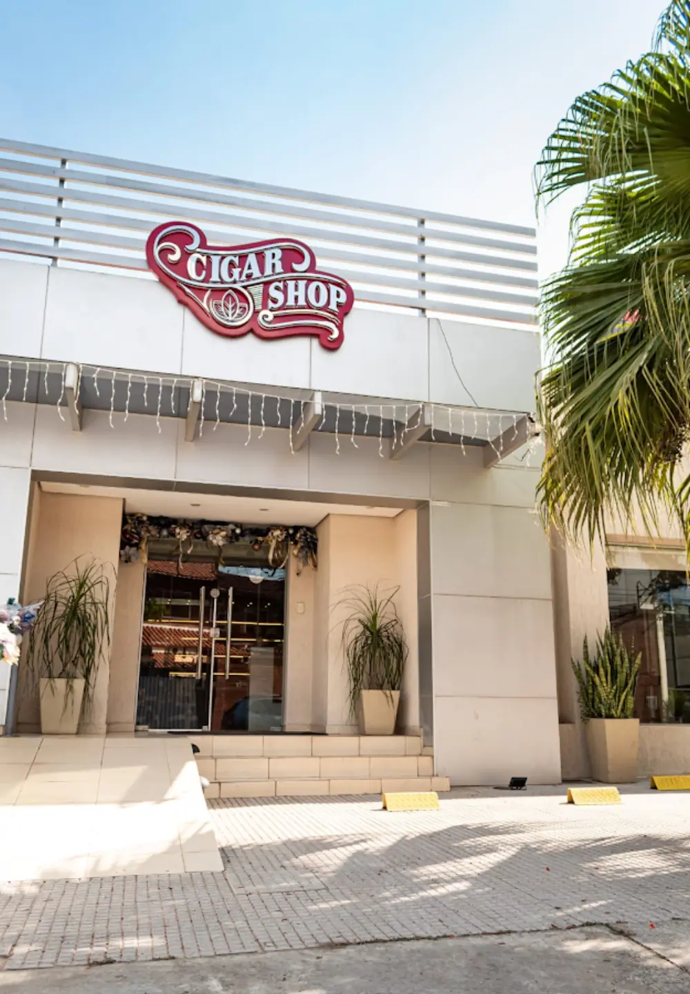 La Casa del Habano, Bar