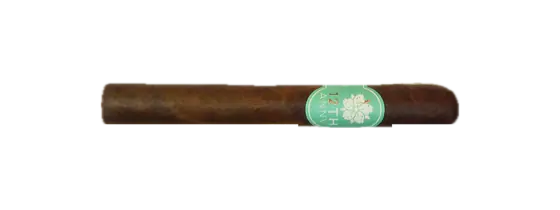 Room101 12th Anniversary Toro