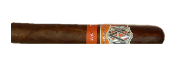 AVO Syncro Nicaragua Fogata Toro